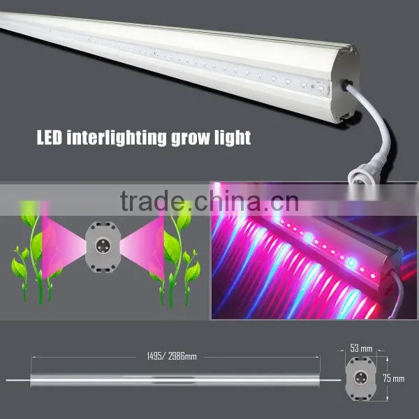 Vanq 110V double-side emitting 75W LED grow light bar horticulture