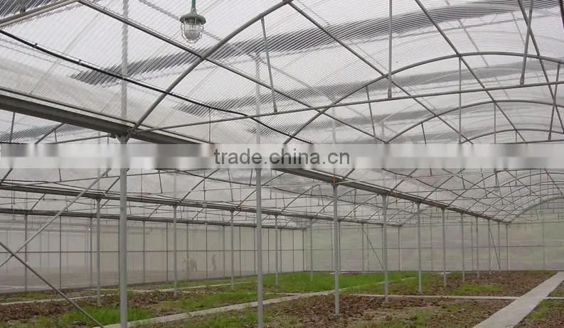 Outside the sun flower cultivation plastic greenhouse