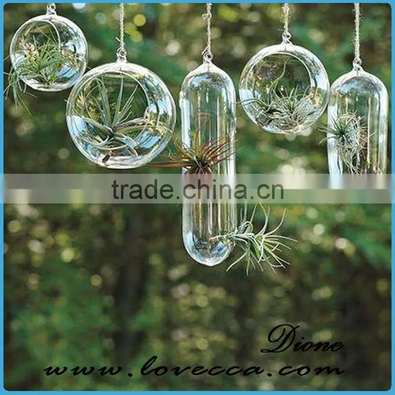 High quality Air plants handblown glass globe hanging terrarium