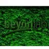 BeyonLab Scientific Instrument (Shanghai) Co.,Ltd. company overview - view 1
