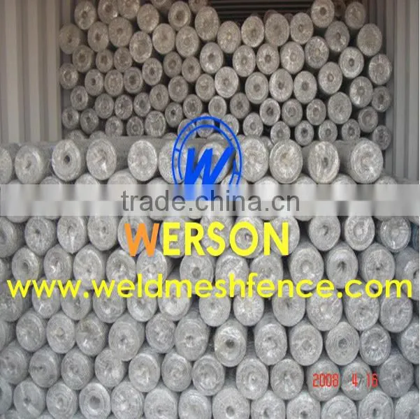 Chicken Wire Netting