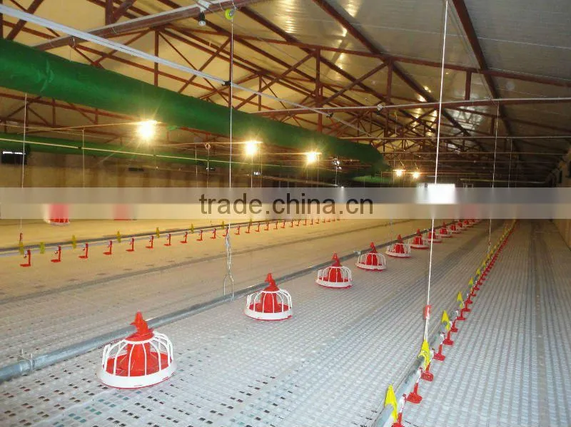 chicken feeders of the poultry equipment