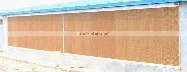 poultry chicken house