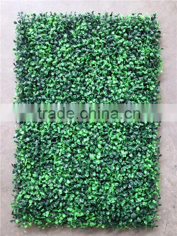 PE Material and Artificial Topiary Hedge Plant Type outdoor artificial boxwood hedge