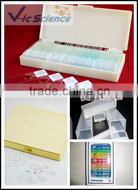 medical survey biological dentall pathology prepared slides