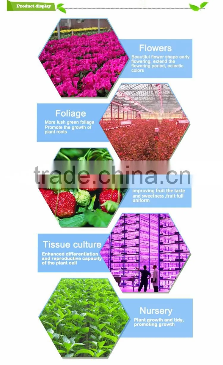 Hydroponic systems E27 PAR38 led light bulbs for tiny houses using