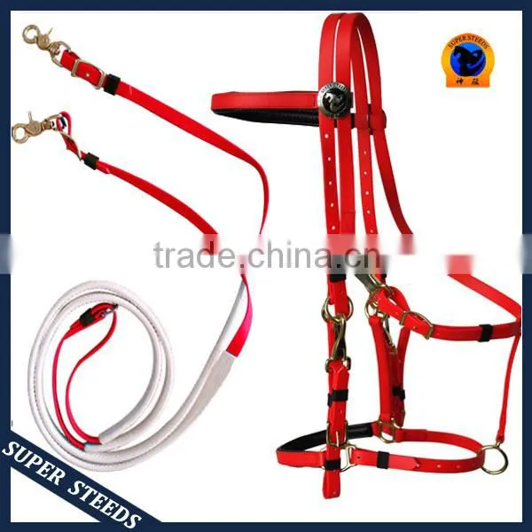 Horse Briddle with raised browband