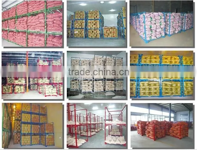 the garlic pallets/ new pallets/different pallets