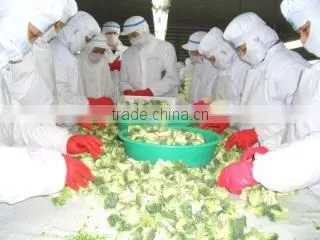 Nanjing Frostar Fruits & Vegetables Co., Ltd. company overview - view 3