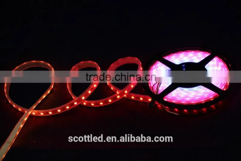 Waterproof IP67 Decoration DC12V SMD5050 60 Leds WS2811 Digital Led Tape/WS2811 Led Strip