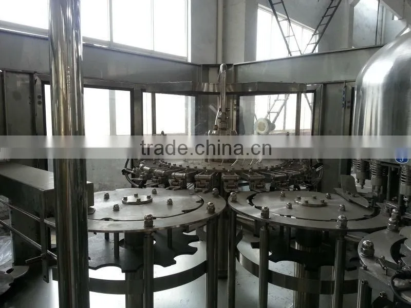 Water bottling machine