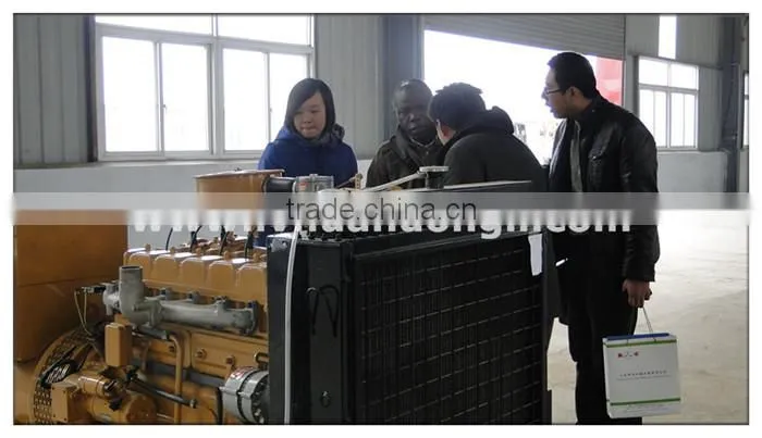 Stanford Alternator International Standard CE ISO small gas turbine generator for sale
