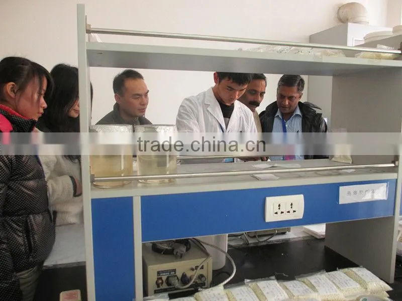 Hotmelt adhesive for mattress