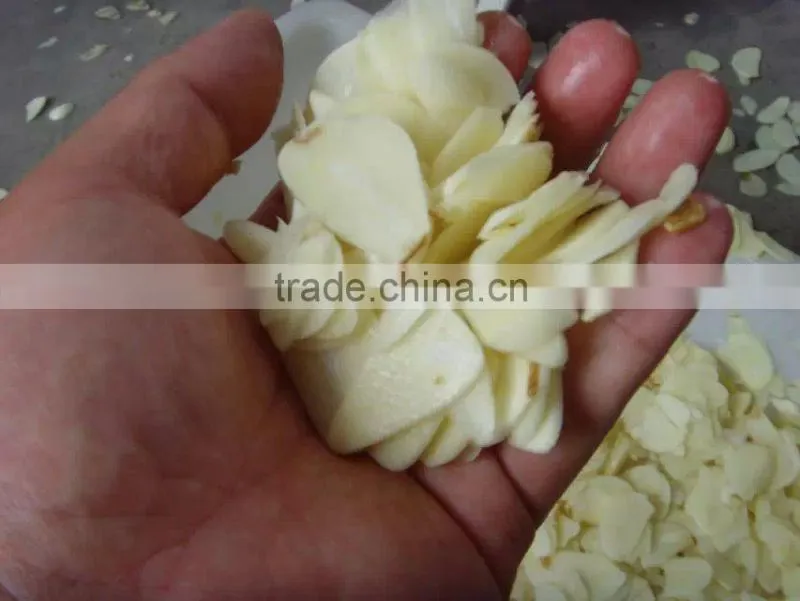 Hot Sale Commercial Automatic Vegetable Cutting Machine/Vegetable Cutter/fruit vegetable cutting machie CHINA FD