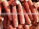 mini thresher for corn