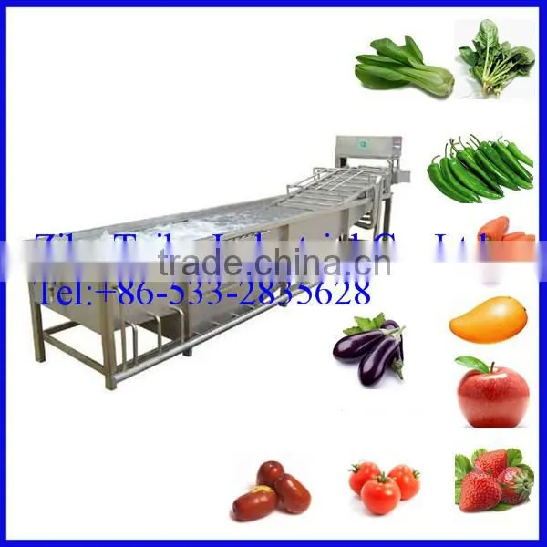 Stainless Steel Automatic Mango Washing Machine