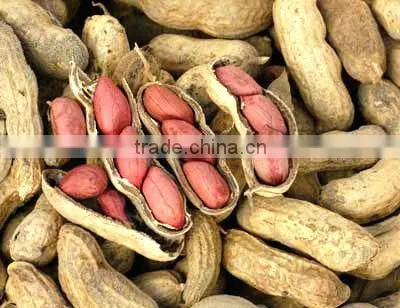 Peanuts