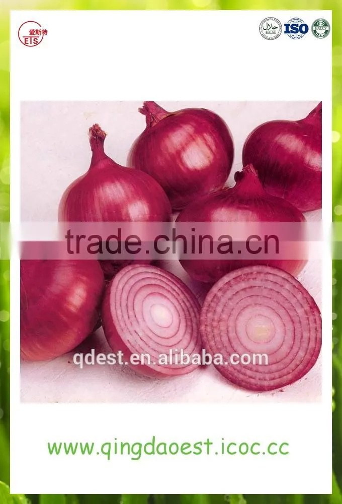 Best quality fresh onion from china