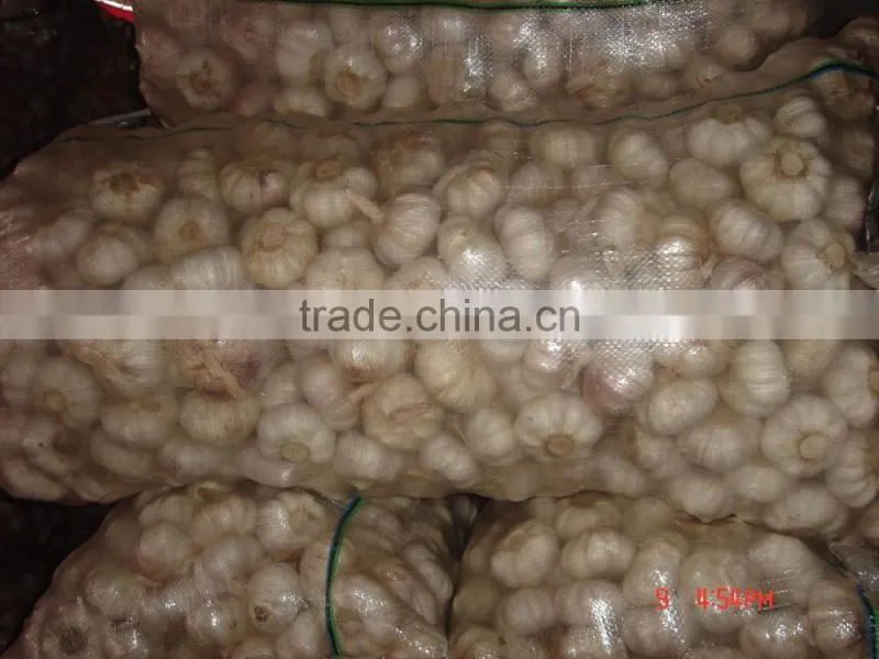 YUYUAN brand hot sail fresh garlic crushed garlic