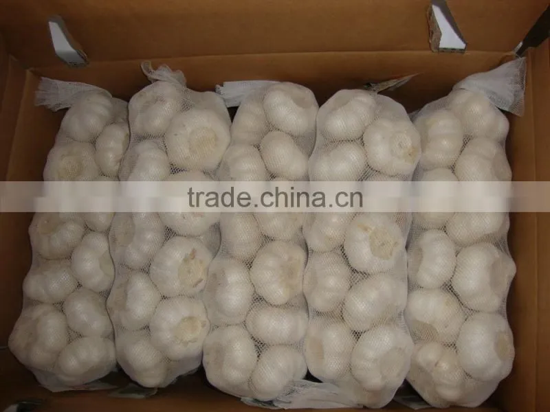YUYUAN brand hot sail fresh garlic crushed garlic