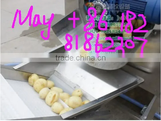 LXTP-3000 screw type vegetable washer and peeler machine