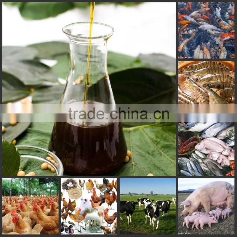 water souble instant feed supplement liquid soya lecithin &powder manufactuerer