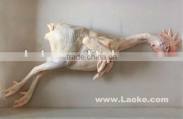 poultry feather removal machine/chicken feather removal machine