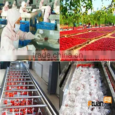 dates processing line