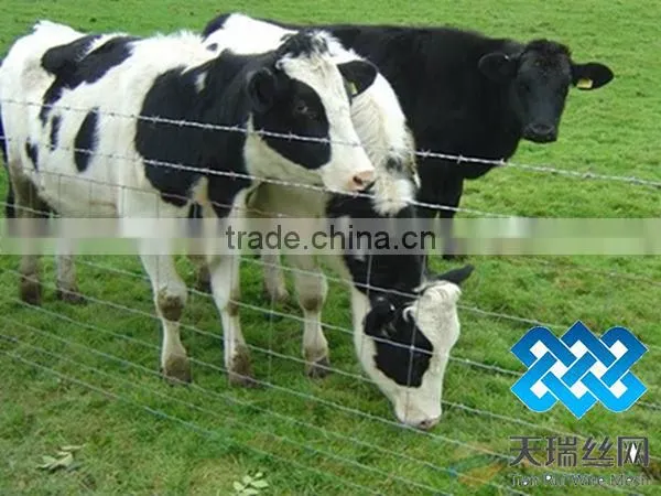 High Zinc Grassland Fence/Cattle Fence ( Factory)