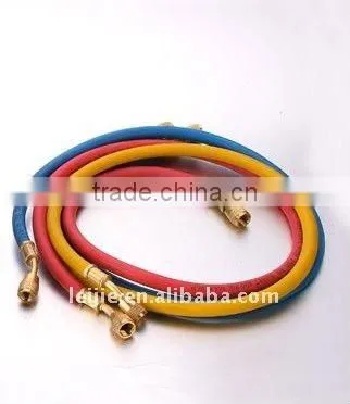 Fregon regulator
