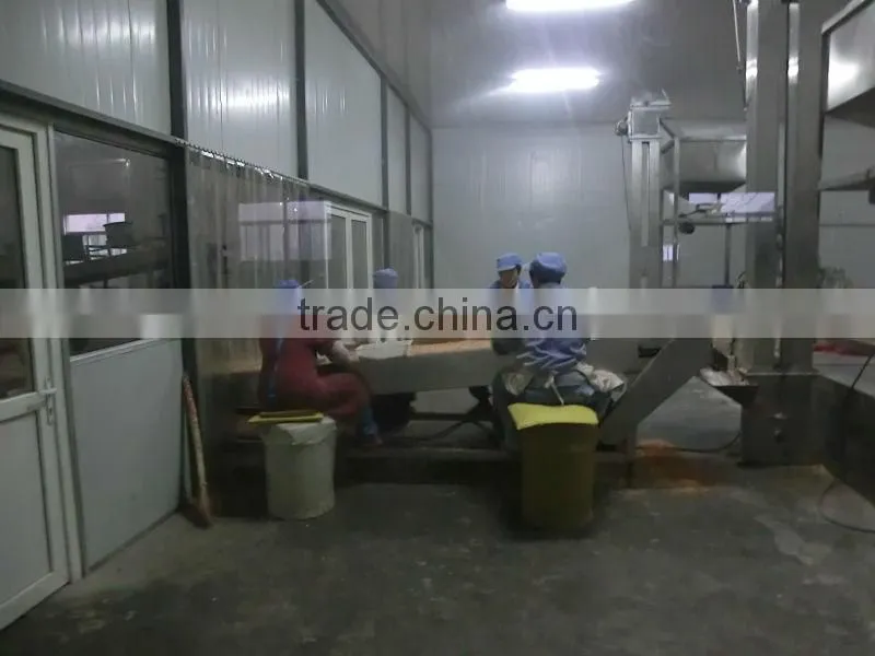 Peanut Butter Grinding Machine