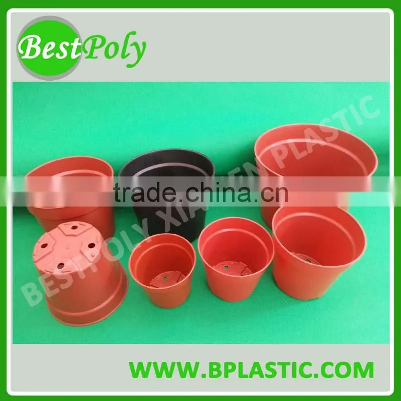 high quality plastic orchid phalaenopsis seedling pot for sale