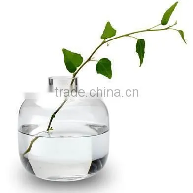 machine made glass vase for flowers