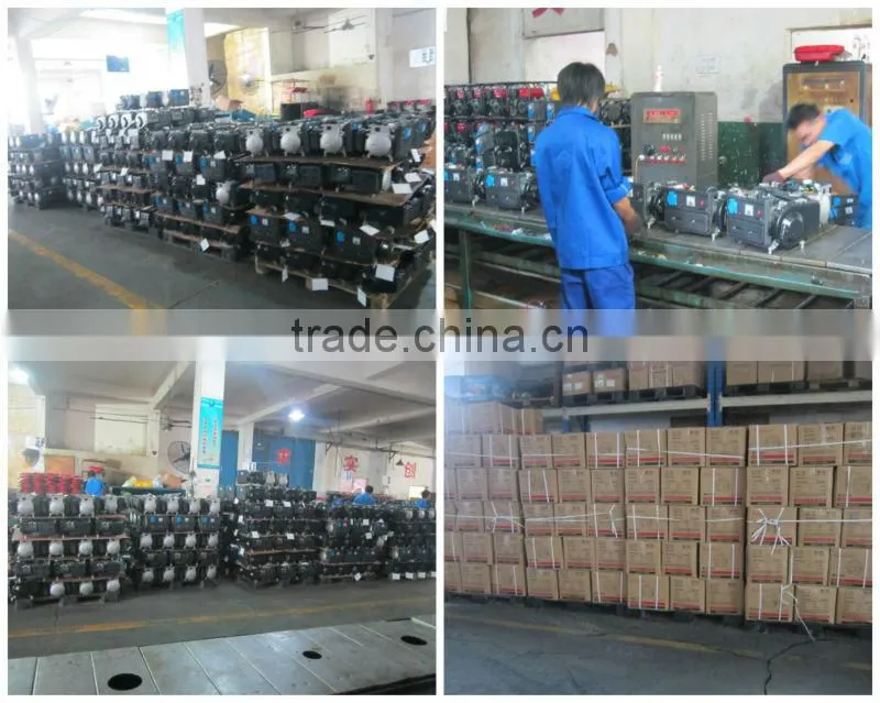 0.65kva 2 stroke small gasoline power generator, 1 cylinder gasoline engine