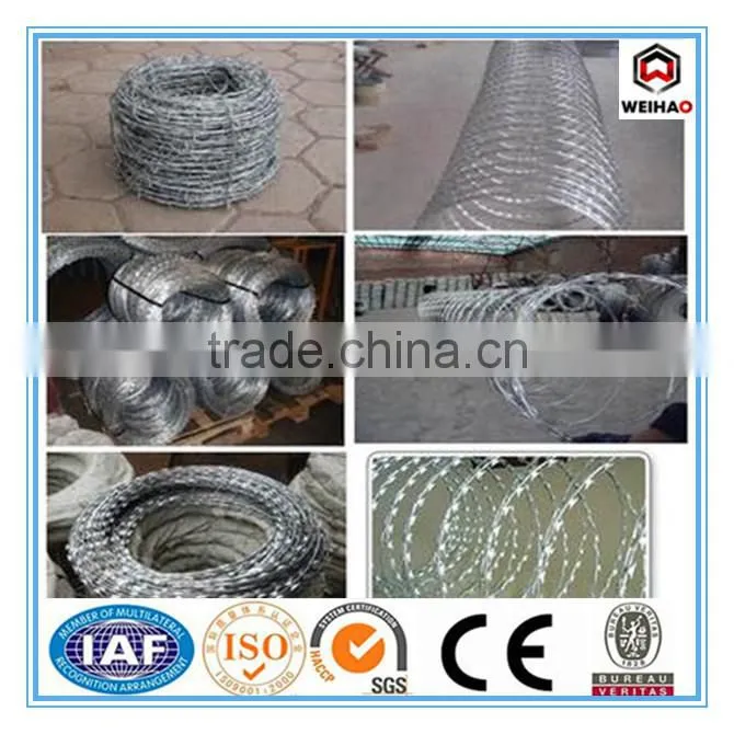 top selling products wall spike wire electric fence wire
