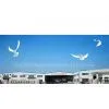 Zhejiang Wu Xing Furniture Co., Ltd. company overview - view 1