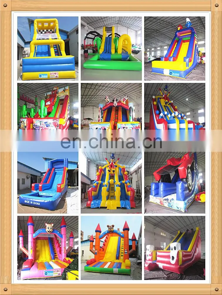 popular theme park slides, cat inflatable bouncy house, ,inflatable castle