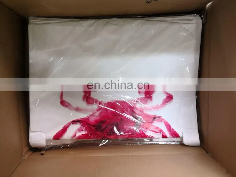 BBQ Grill Personalised Non Woven Disposable Apron Printed Adult Bibs