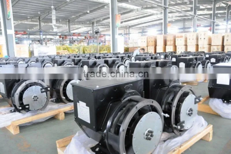 4 poles rotation magnet alternator for sale