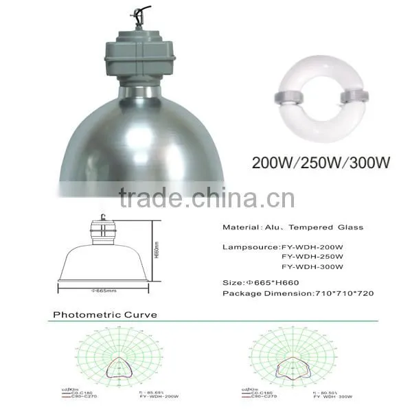 low frequency 200w magnetic induction lamp price