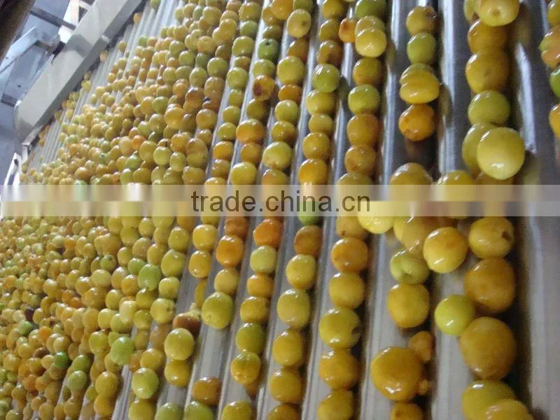 apricot puree