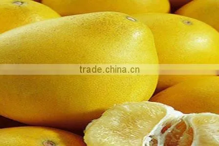 High quality chinese Fresh honey pomelo