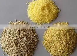 nutrition rice process line/machinery/line