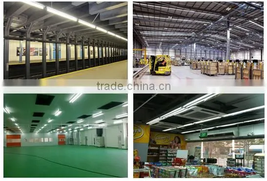 10w 12w 18w 24w 30w T8 LED tube light in Shenzhen China