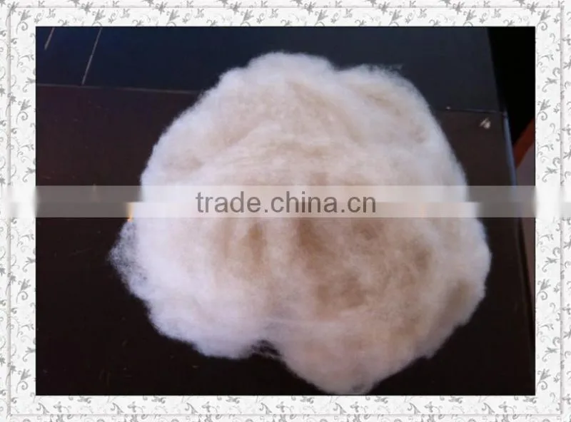 Precious Dehaired Goat Cashmere Fiber For Cashmere Sweater