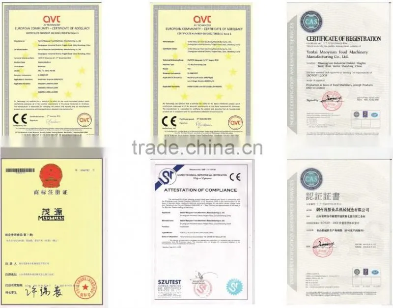 Commercial peanut flavoring machine/seasoning mixing machine with CE,ISO9001