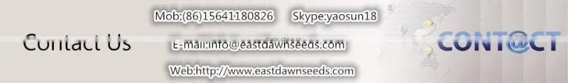 Black Watermelon Hybrid Seeds