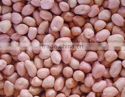 high efficiency peanut sheller machine