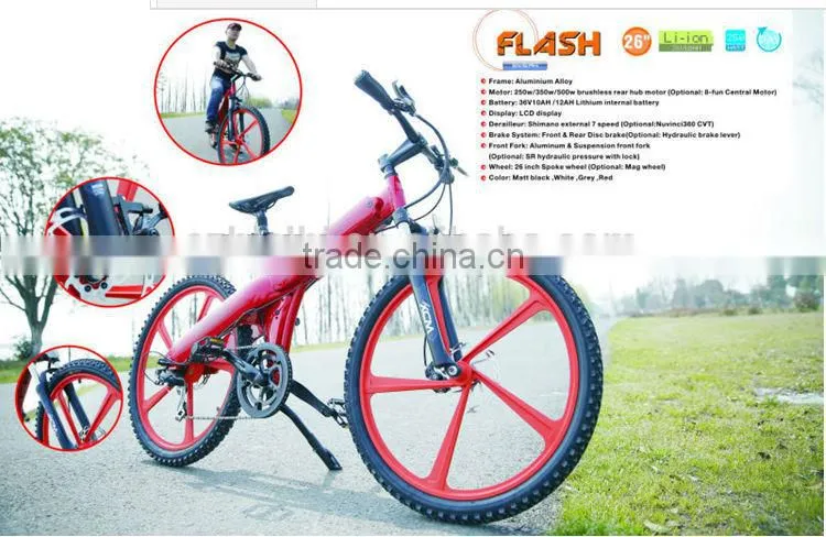 Seagull GL -2014 smart lithium ion battery electric bike/padel assist, throttle for option