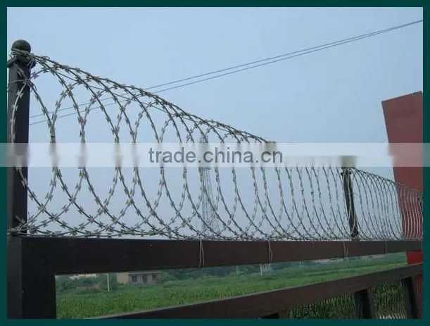 Razor barbed wire (golden factory)
